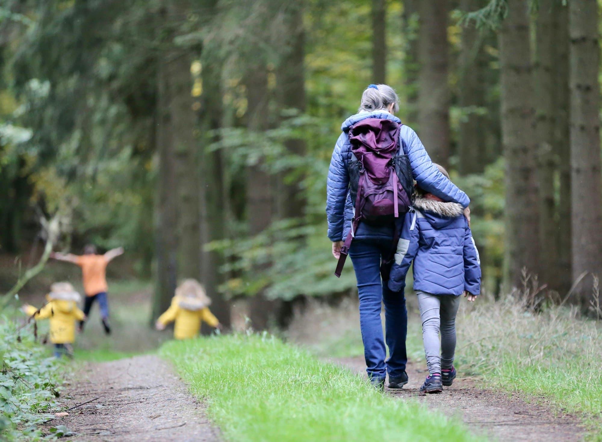 A family walking together on a woodland trail